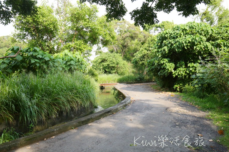 烏日知高圳步道｜台中烏日私房景點 知高圳步道 水道搭建的引水橋、學田山步道