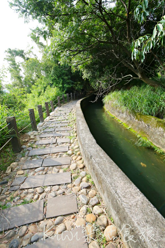 烏日知高圳步道｜台中烏日私房景點 知高圳步道 水道搭建的引水橋、學田山步道