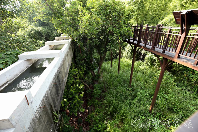 烏日知高圳步道｜台中烏日私房景點 知高圳步道 水道搭建的引水橋、學田山步道