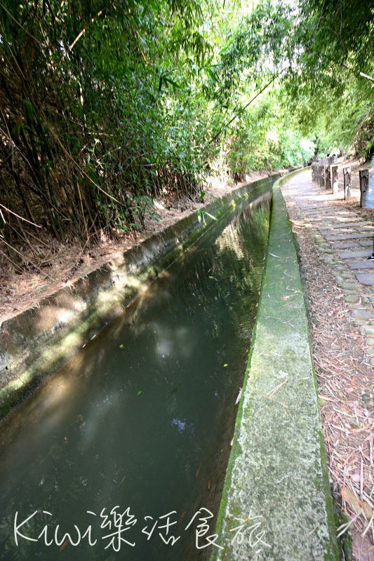 烏日知高圳步道｜台中烏日私房景點 知高圳步道 水道搭建的引水橋、學田山步道