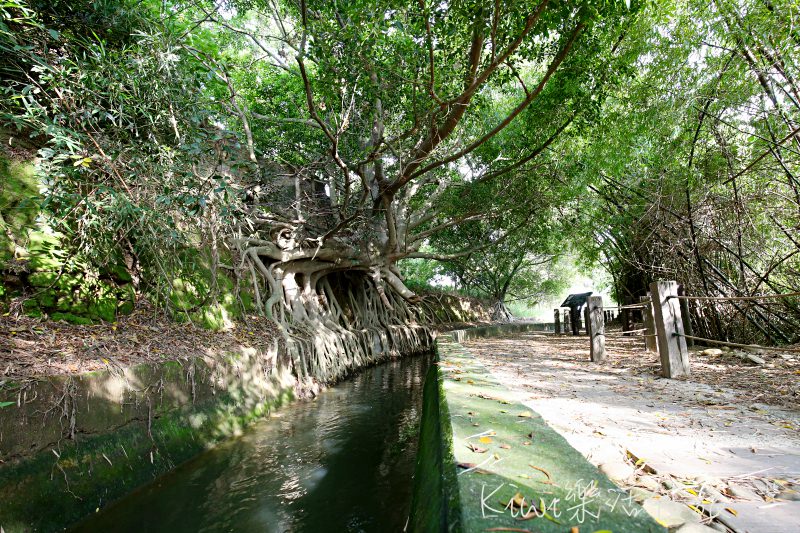 烏日知高圳步道｜台中烏日私房景點 知高圳步道 水道搭建的引水橋、學田山步道