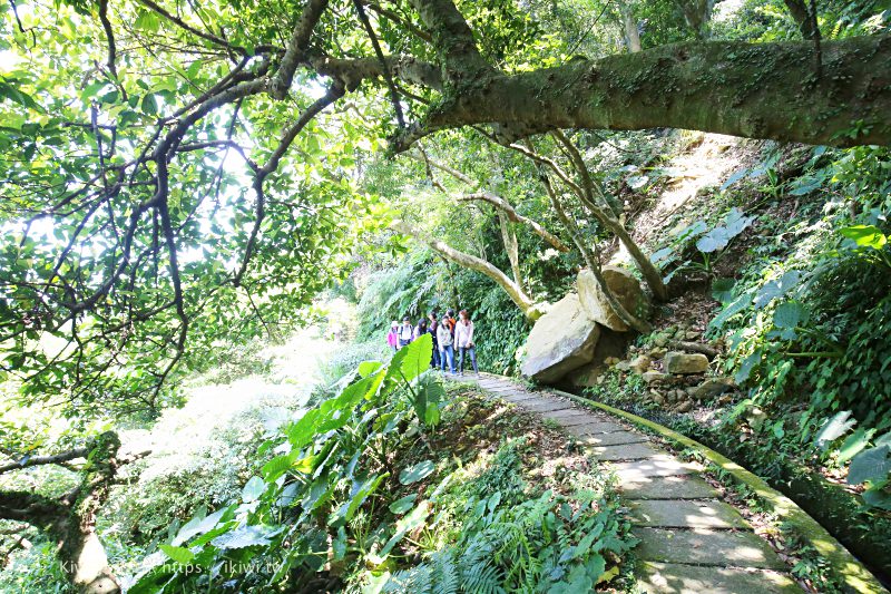 石門景點推薦｜新北步道推薦青山瀑布 台北人的後花園 享受恣意的自然氛圍