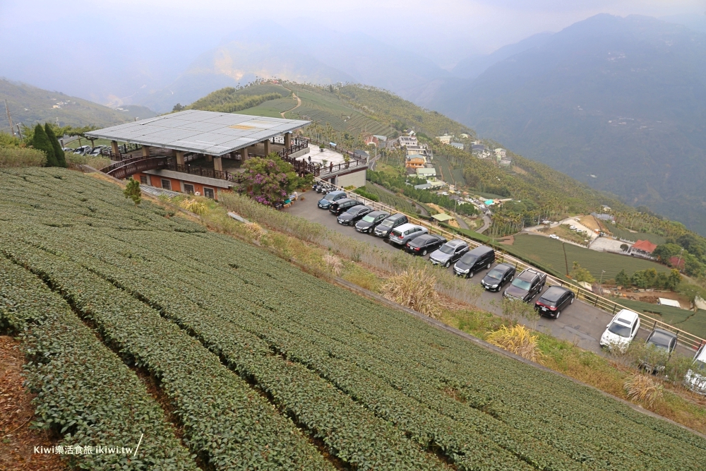 嘉義梅山碧湖山觀光茶園360度環景