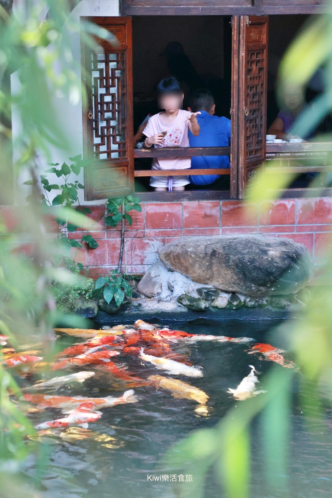 嘉義竹居茶樓.嘉義市東區神秘茶藝館.古色古香建築.山水庭園餵鯉魚.品嚐港式料理很愜意.kiwi樂活食旅部落客推薦嘉義在地隱藏版茶藝館美食