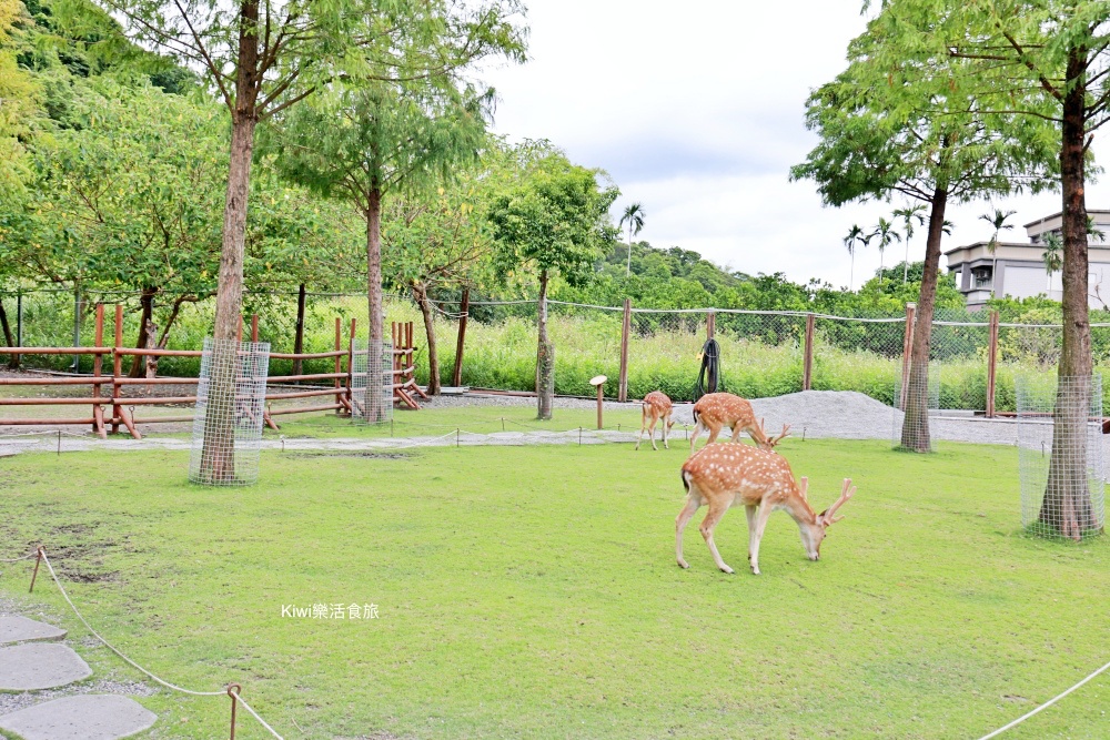 宜蘭斑比山丘.冬山親子景點必訪小奈良餵食鹿鹿好療癒.愛情籤詩.餵食水豚君.門票資訊優惠.停車場.kiwi樂活食旅推薦宜蘭親子景點