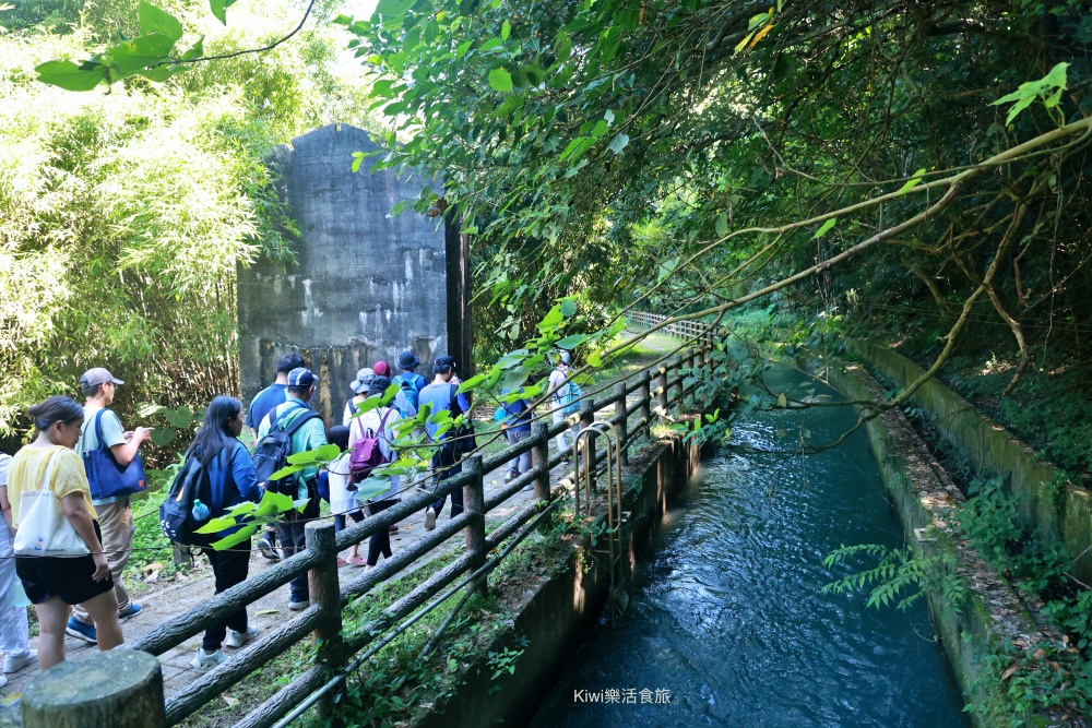 台中景點后里泰安低碳旅行｜泰安騎單車深度旅遊，泰安鐵道文化園區.泰安舊車站.隱藏版落羽松秘境網美婚紗拍攝勝地.綠化新魅力集章活動送多肉植物