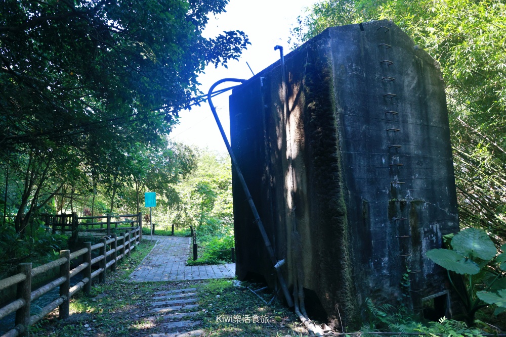 台中景點后里泰安低碳旅行｜泰安騎單車深度旅遊，泰安鐵道文化園區.泰安舊車站.隱藏版落羽松秘境網美婚紗拍攝勝地.綠化新魅力集章活動送多肉植物