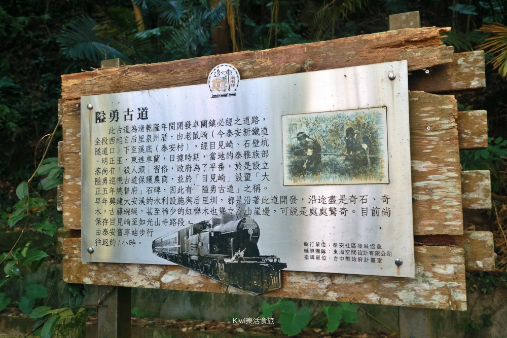 台中景點后里泰安低碳旅行｜泰安騎單車深度旅遊，泰安鐵道文化園區.泰安舊車站.隱藏版落羽松秘境網美婚紗拍攝勝地.綠化新魅力集章活動送多肉植物