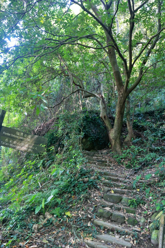 台中景點后里泰安低碳旅行｜泰安騎單車深度旅遊，泰安鐵道文化園區.泰安舊車站.隱藏版落羽松秘境網美婚紗拍攝勝地.綠化新魅力集章活動送多肉植物