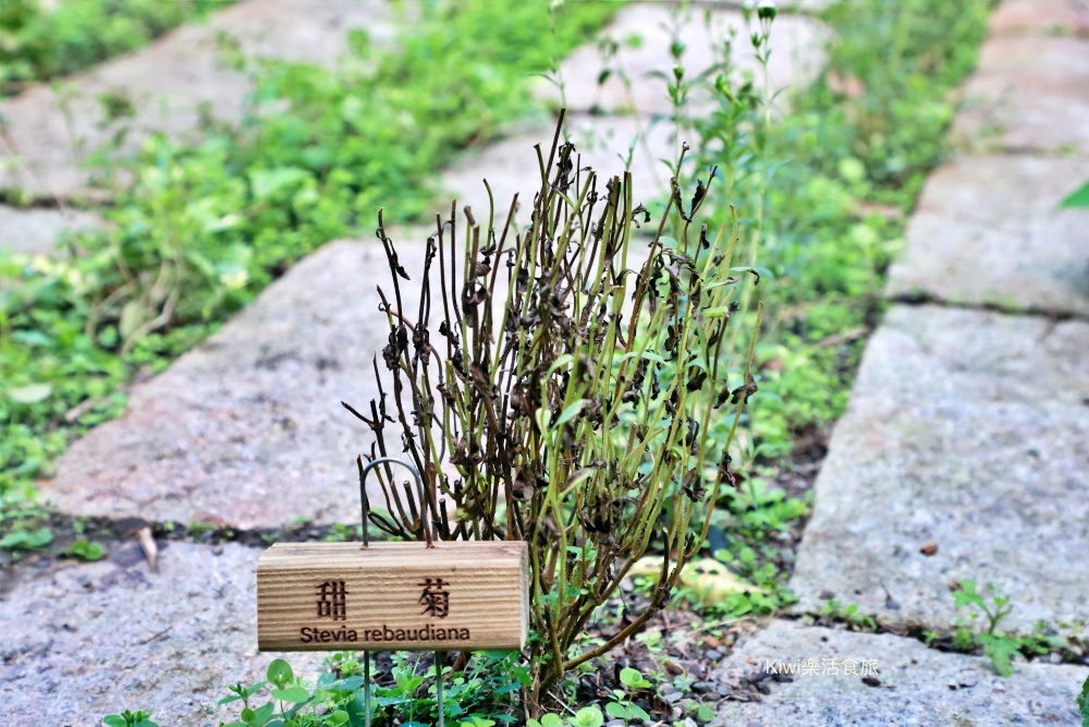 台中一日遊｜2024國際花毯節，新社花海周邊景點推薦安妮公主花園、后里檸檬森林、台中后里樹生酒莊