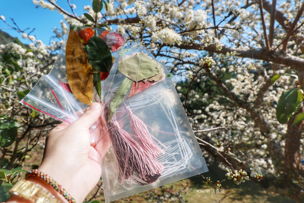 新竹霧語WooYuu雲頂上的豪華露營.免裝備懶人露營.一泊二食.DIY體驗.賞櫻花、雲海趁現在.山峰小徑露營區.撥雲小屋民宿.雲霧小車.kiwi專屬訂房優惠wy4388.新竹豪華露營推薦.懶人露營.高山露營
