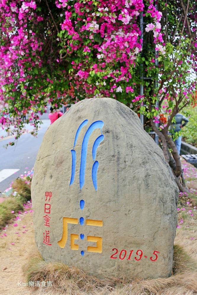 彰化景點田中九重葛花牆.田中景點梅州街草日金道，彰化限定景點.kiwi樂活食旅推薦彰化景點