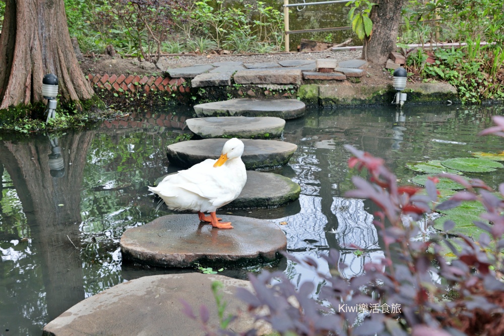 台中田寮農莊景觀餐廳|台中南屯景觀餐廳網美打卡熱點,親子友善餐廳 kiwi樂活食旅部落客推薦台中田寮農莊景觀餐廳.台中美食.台中餐廳.台中南屯景觀餐廳.網美打卡熱點.親子友善餐廳.單點.套餐