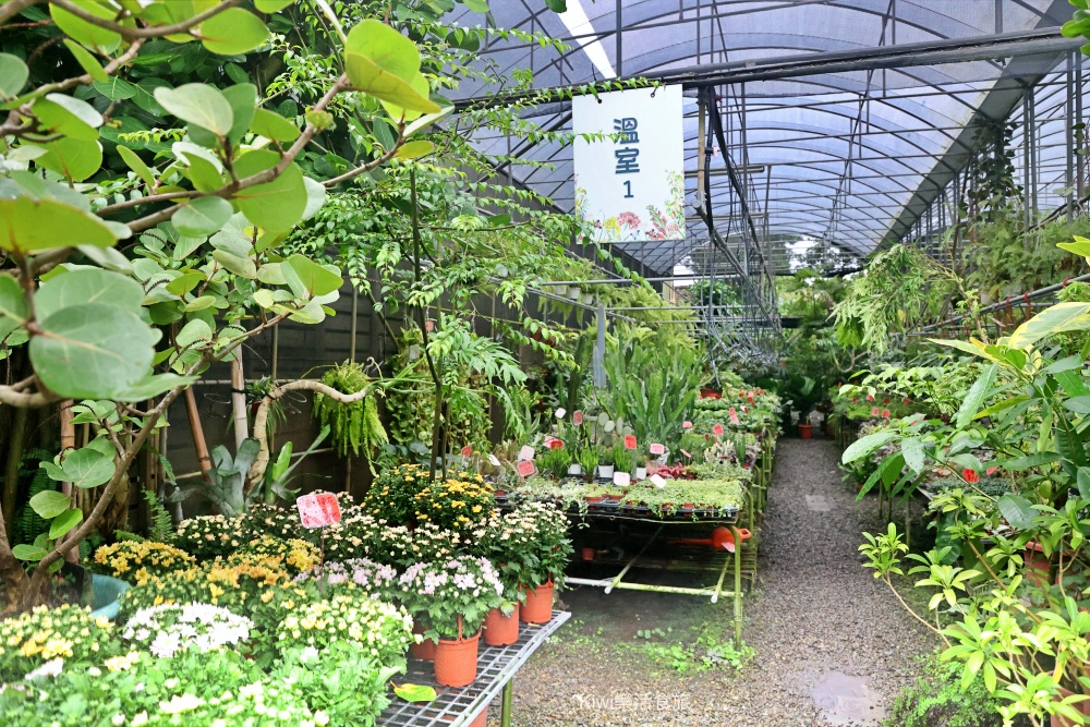 2025玩田尾｜彰化田尾景點推薦這樣跟著走就對了！田尾美食旅遊，跟著星星點點去旅行