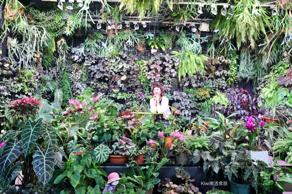 2025玩田尾｜彰化田尾景點推薦這樣跟著走就對了！田尾美食旅遊，跟著星星點點去旅行