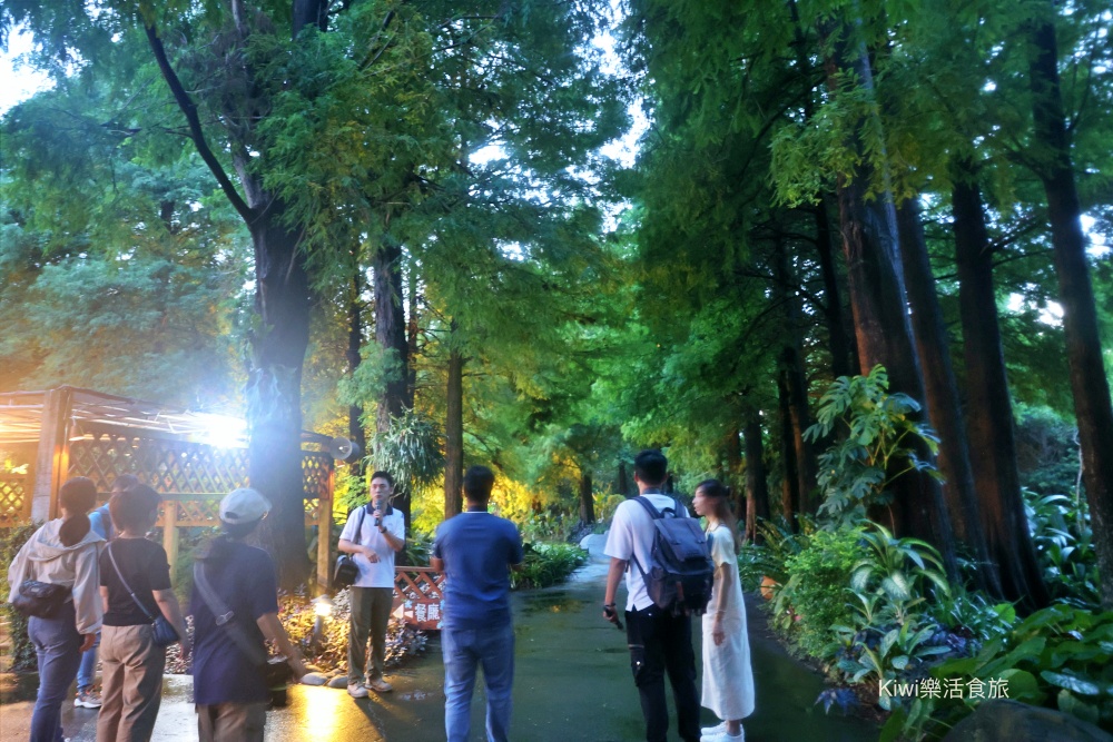2025玩田尾｜彰化田尾景點推薦這樣跟著走就對了！田尾美食旅遊，跟著星星點點去旅行