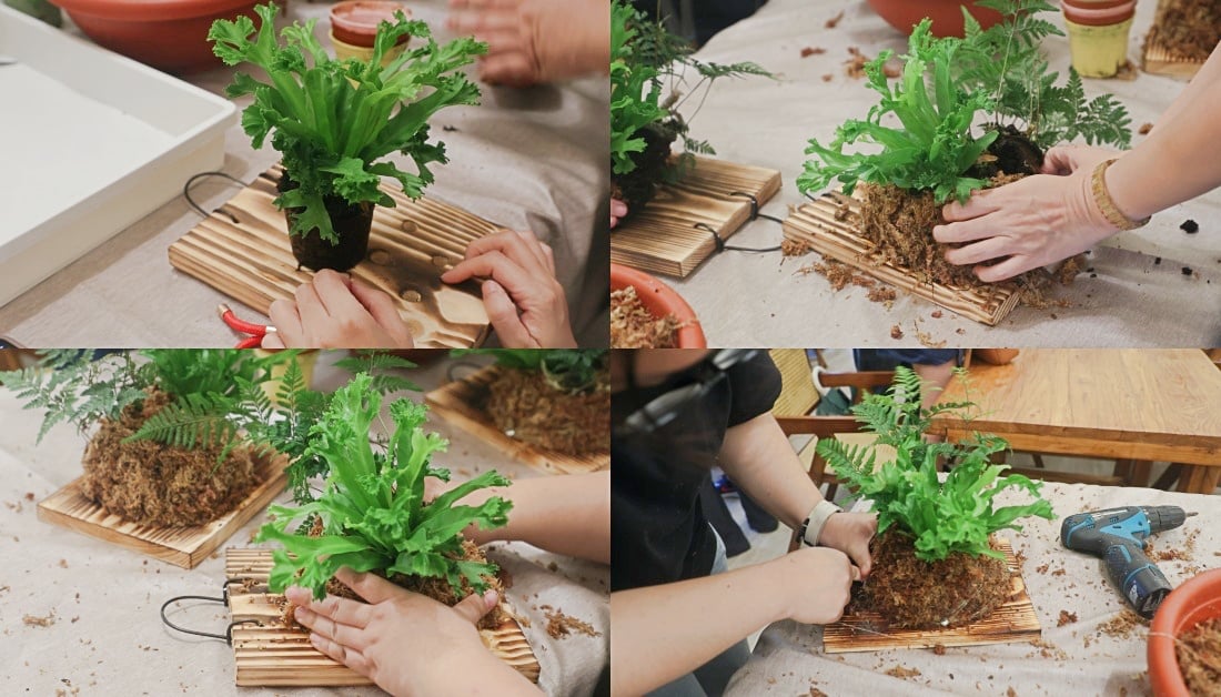 2025玩田尾｜彰化田尾景點推薦這樣跟著走就對了！田尾美食旅遊，跟著星星點點去旅行