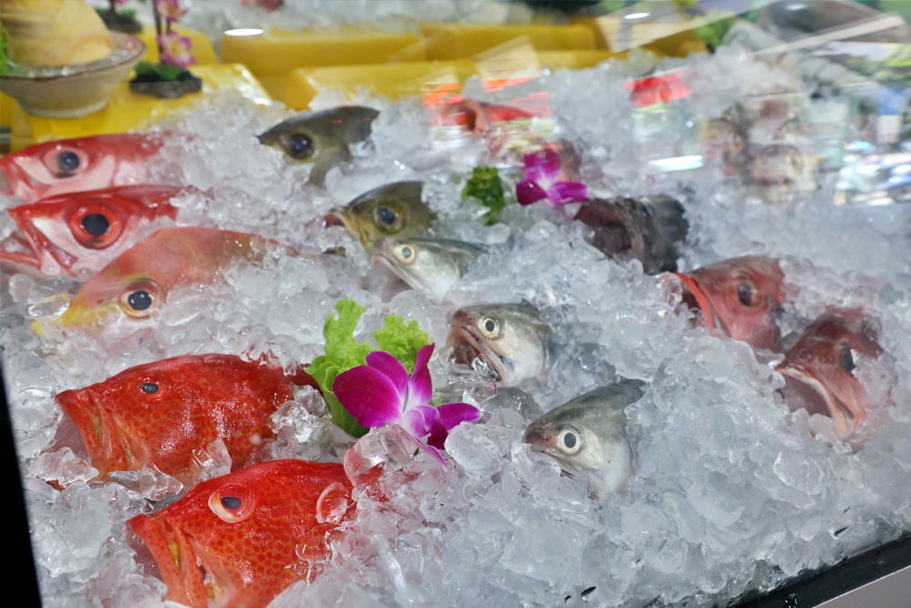 kiwi樂活食旅部落客推薦台中西屯大祥海鮮燒鵝餐廳.活海鮮.螃蟹料理大祥.台中美食推薦活鮑魚.野生魚貨.創意料理.台中聚餐聚會首選.近漢口國中.台中科博館周邊美食.紅蟳鮮蝦粥.招牌燒鵝.野生魚貨.中卷芋頭米粉湯.台中西屯餐廳.古早味創意料理