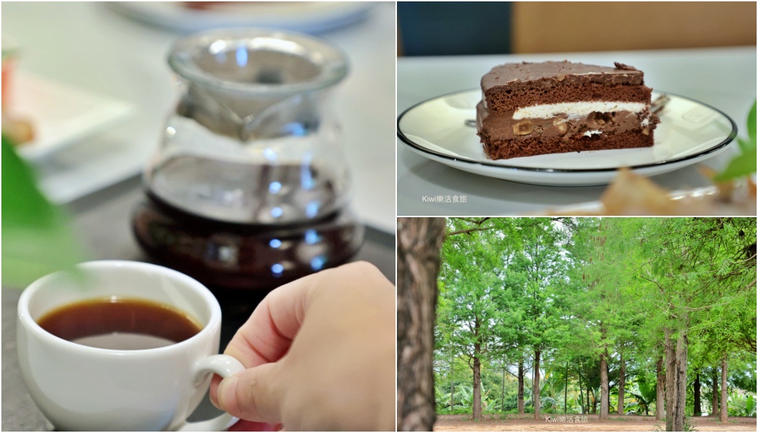 南投藍圖咖啡落羽松秘境｜名間隱藏版庭園咖啡館，網美打卡景點！