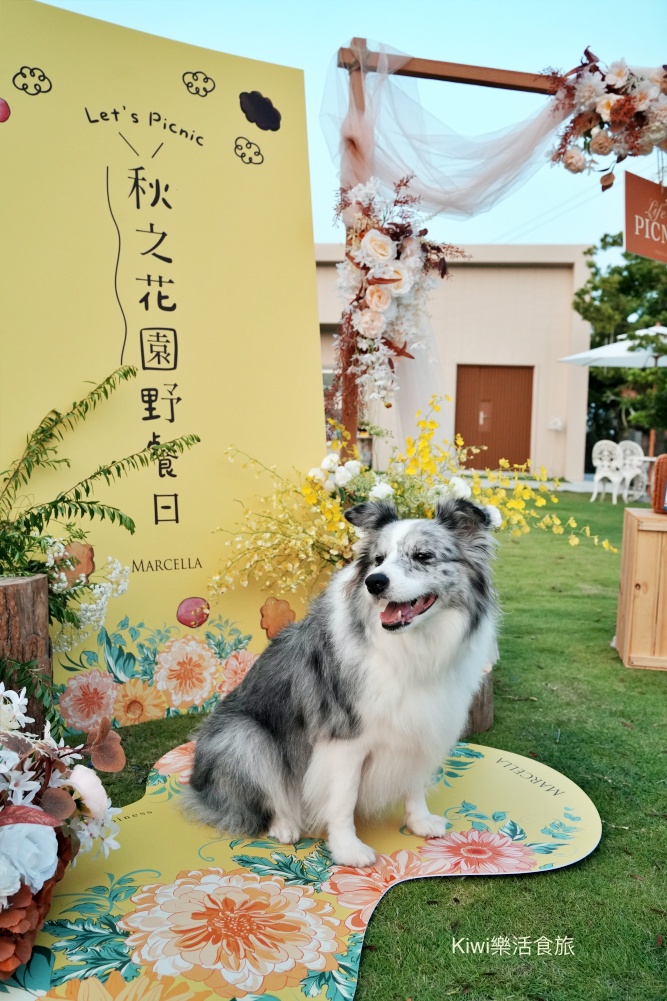 跟著台中必買瑪莎拉手工餅舖野餐趣｜台中海線最強伴手禮。手工餅乾界的愛馬仕，想買伴手禮台中餅乾禮盒超推薦～