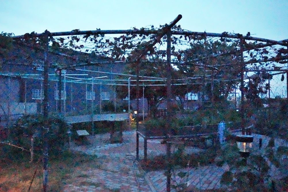 彰化秀水田野騎旅,妞妞果園火龍果.百香果超推、台灣稻米達人愷式好米御飯糰讚、秀水有機轉型園區與採摘.產地到餐桌幸福滋味~ 彰化秀水田野騎旅,妞妞果園火龍果.百香果超推、台灣稻米達人愷式好米御飯糰讚、秀水有機轉型園區與採摘.產地到餐桌幸福滋味~