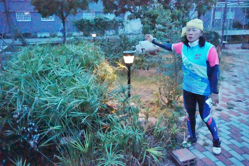 彰化秀水田野騎旅,妞妞果園火龍果.百香果超推、台灣稻米達人愷式好米御飯糰讚、秀水有機轉型園區與採摘.產地到餐桌幸福滋味~ 彰化秀水田野騎旅,妞妞果園火龍果.百香果超推、台灣稻米達人愷式好米御飯糰讚、秀水有機轉型園區與採摘.產地到餐桌幸福滋味~