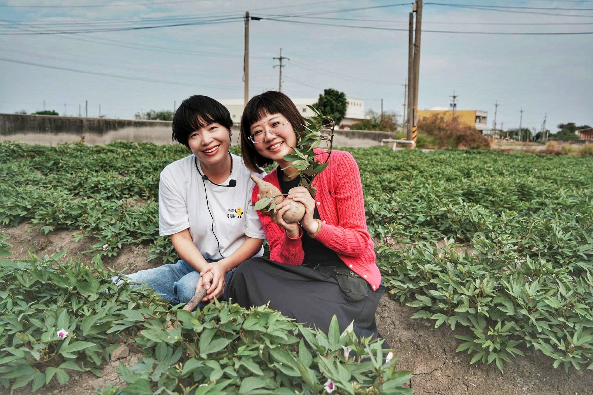 kiwi樂活食旅部落客推薦雲林口湖走讀小日月潭椬梧滯洪池.口湖景點成龍濕地藝術季.雲林100碗杰樂蕃薯園挖地瓜.漫遊雲林一日.口湖景點.口湖美食.雲林美食.雲林景點