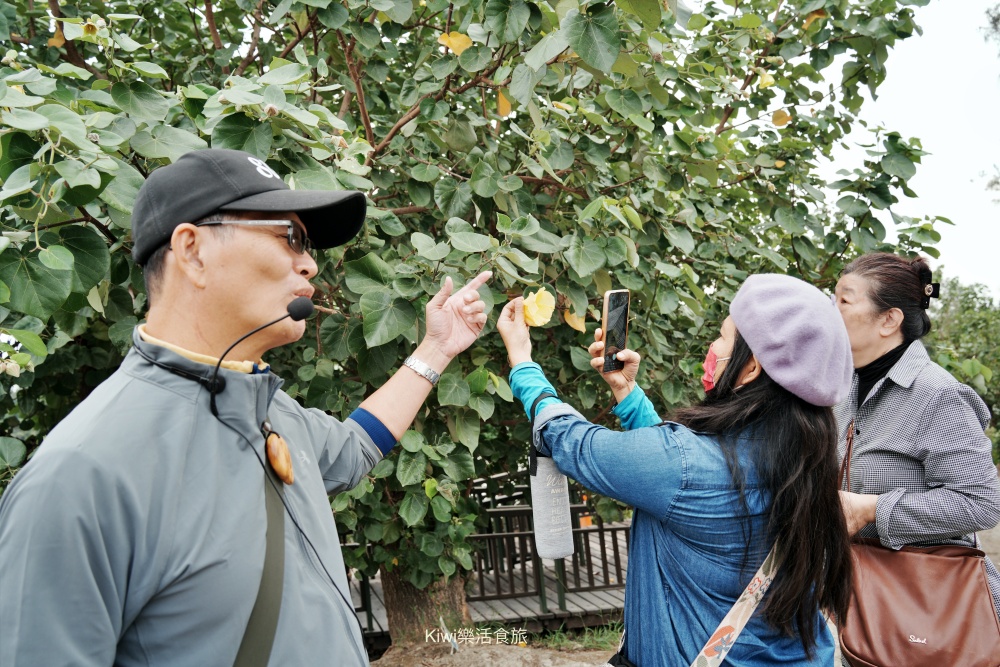 kiwi樂活食旅部落客推薦雲林口湖走讀小日月潭椬梧滯洪池.口湖景點成龍濕地藝術季.雲林100碗杰樂蕃薯園挖地瓜.漫遊雲林一日.口湖景點.口湖美食.雲林美食.雲林景點