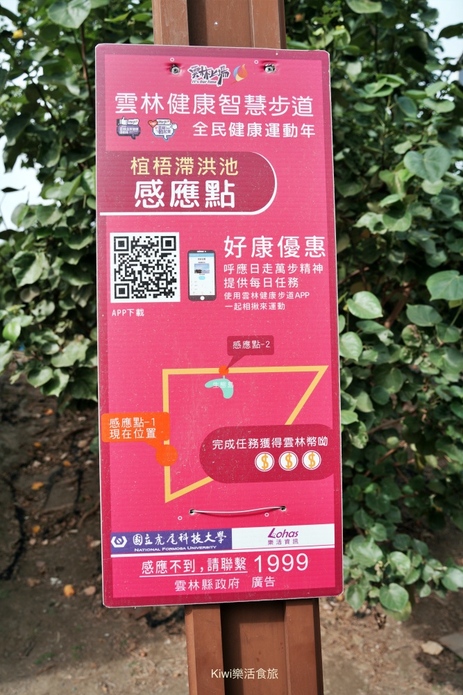 kiwi樂活食旅部落客推薦雲林口湖走讀小日月潭椬梧滯洪池.口湖景點成龍濕地藝術季.雲林100碗杰樂蕃薯園挖地瓜.漫遊雲林一日.口湖景點.口湖美食.雲林美食.雲林景點