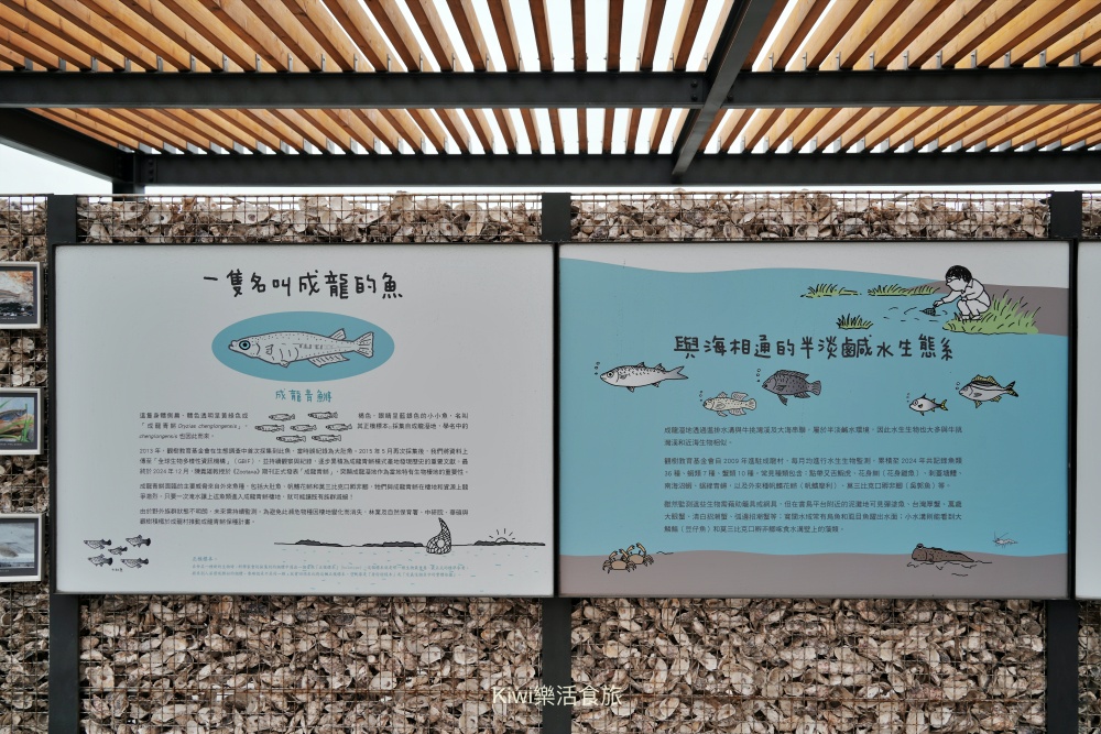 kiwi樂活食旅部落客推薦雲林口湖走讀小日月潭椬梧滯洪池.口湖景點成龍濕地藝術季.雲林100碗杰樂蕃薯園挖地瓜.漫遊雲林一日.口湖景點.口湖美食.雲林美食.雲林景點