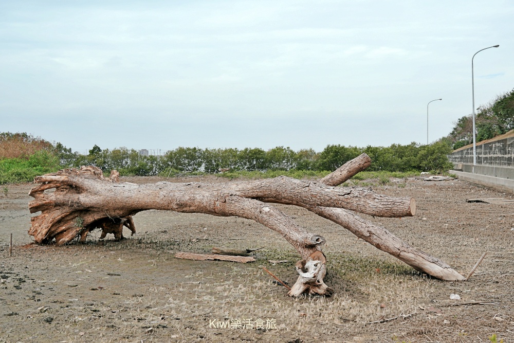 kiwi樂活食旅部落客推薦雲林口湖走讀小日月潭椬梧滯洪池.口湖景點成龍濕地藝術季.雲林100碗杰樂蕃薯園挖地瓜.漫遊雲林一日.口湖景點.口湖美食.雲林美食.雲林景點