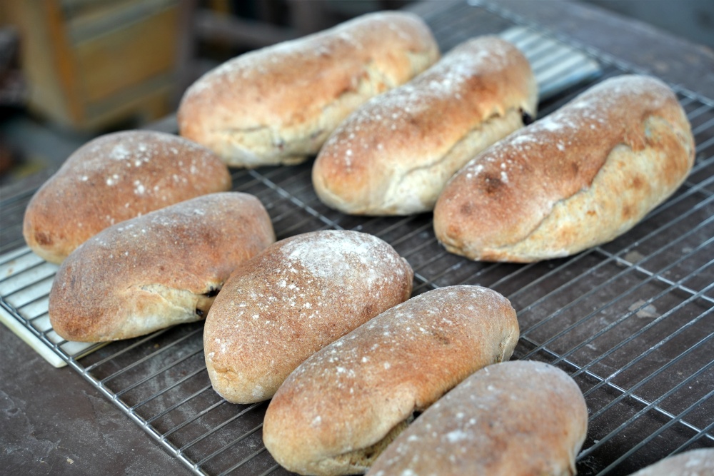 彰化親子景點田中窯創藝園區2026蜀葵花藝術季.陶藝.DIY體驗.古早味桶仔雞料理.窯烤麵包~田中美食景點一次網羅! 彰化親子景點田中窯創藝園區2026蜀葵花藝術季.陶藝.DIY體驗.古早味桶仔雞料理.窯烤麵包~田中美食景點一次網羅!