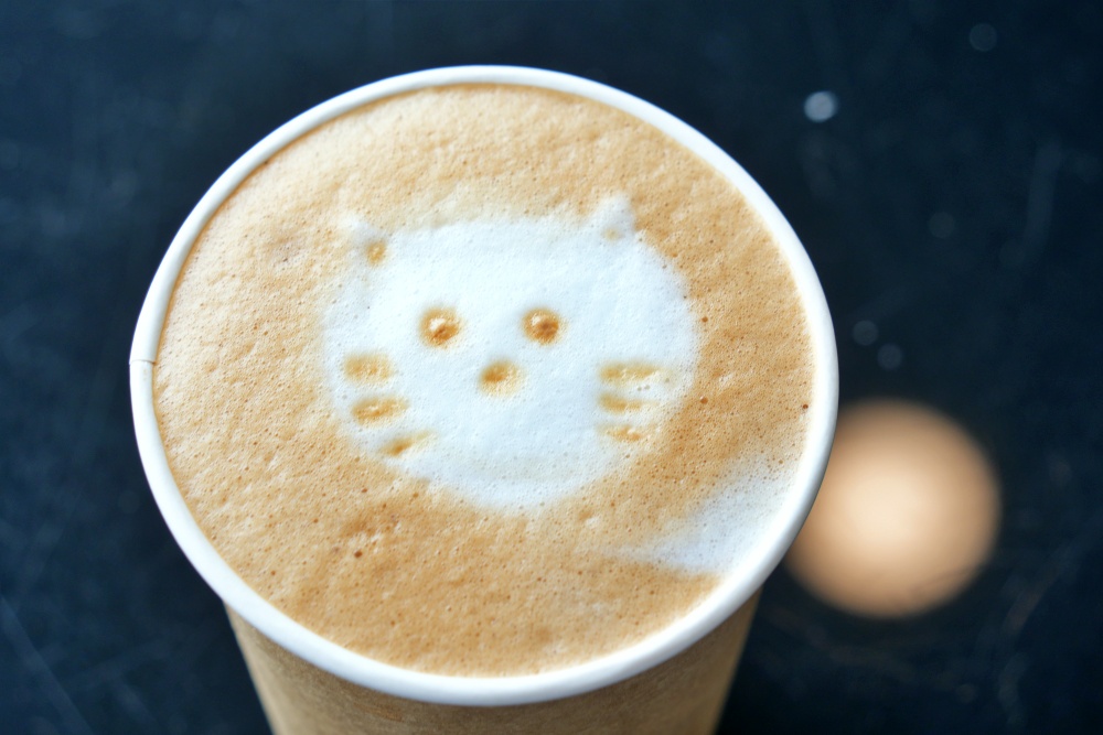 彰化親子景點田中窯創藝園區2026蜀葵花藝術季.陶藝.DIY體驗.古早味桶仔雞料理.窯烤麵包~田中美食景點一次網羅! 彰化親子景點田中窯創藝園區2026蜀葵花藝術季.陶藝.DIY體驗.古早味桶仔雞料理.窯烤麵包~田中美食景點一次網羅!