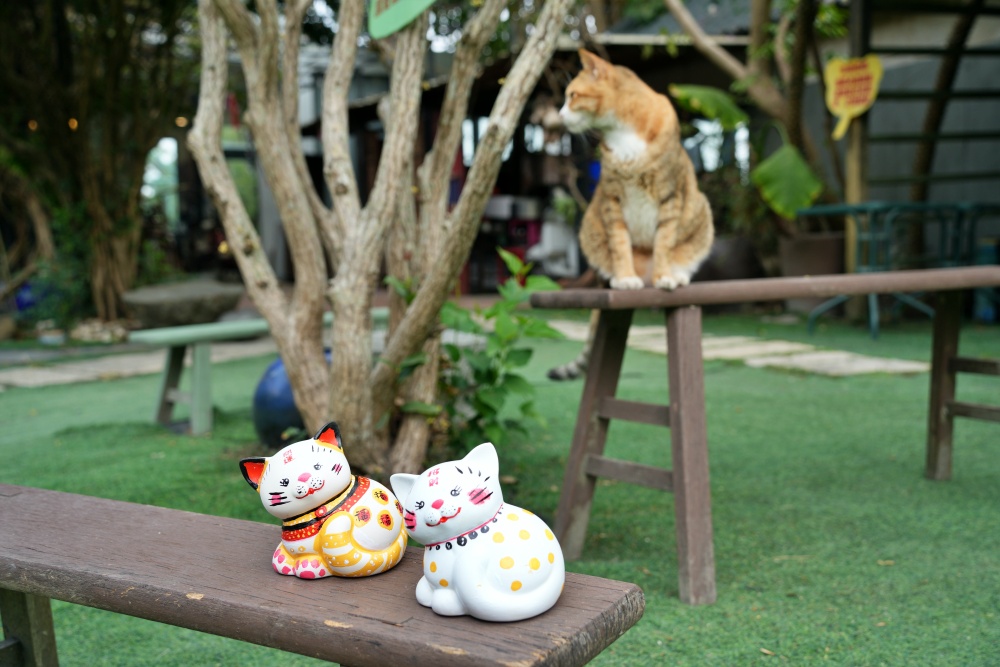 彰化親子景點田中窯創藝園區2026蜀葵花藝術季.陶藝.DIY體驗.古早味桶仔雞料理.窯烤麵包~田中美食景點一次網羅! 彰化親子景點田中窯創藝園區2026蜀葵花藝術季.陶藝.DIY體驗.古早味桶仔雞料理.窯烤麵包~田中美食景點一次網羅!