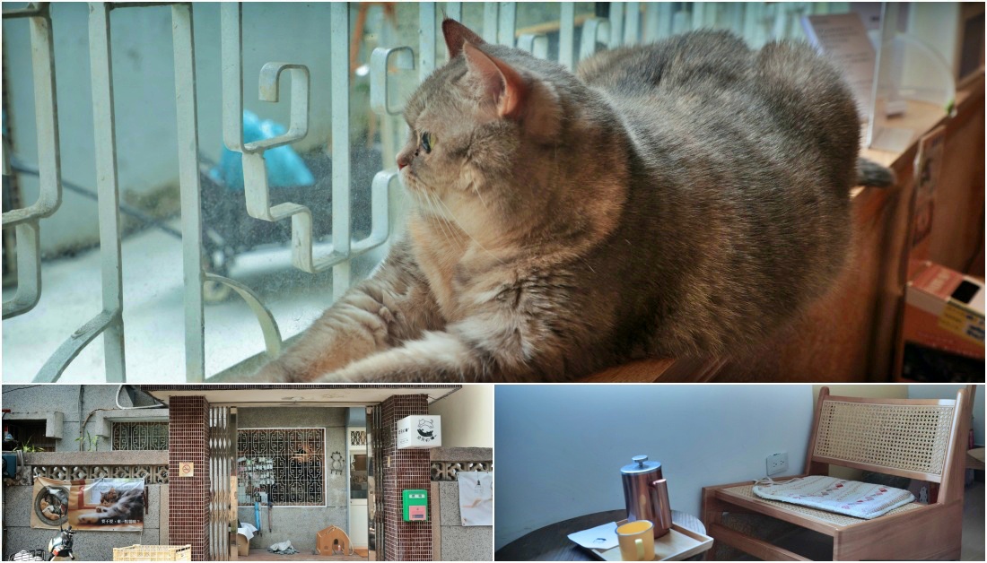 kiwi樂活食旅部落客推薦2026逢甲美食,2026逢甲夜市必吃,逢甲美食懶人包,逢甲地圖攻略,逢甲素食推薦,逢甲網美餐廳,逢甲平價美食