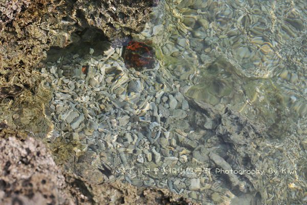 屏東墾丁小巴里島珊瑚礁岩灘恆春景點親子遊玩水0622