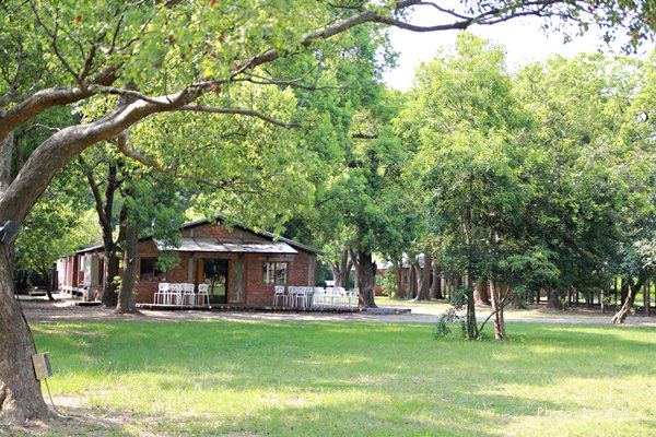 彰化顏氏牧場，下午茶咖啡飲品推薦，西式森林系婚禮，可包場、露營